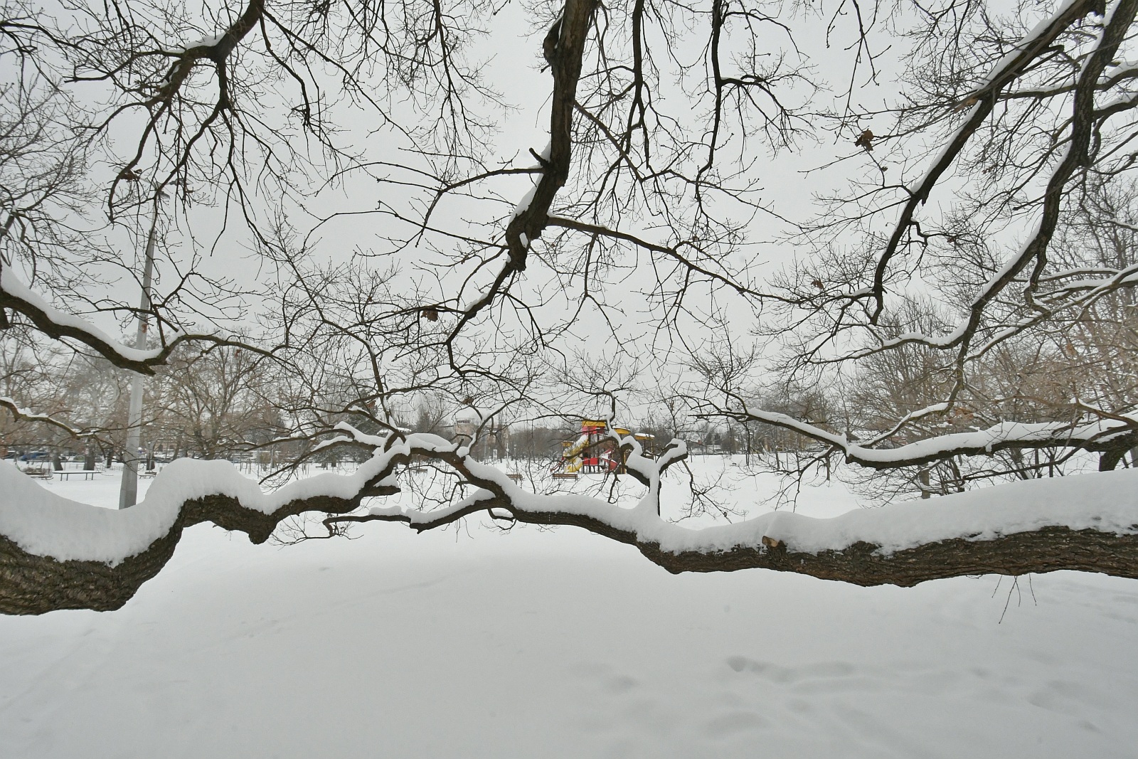 Fehér lepelbe burkolta a tél a Halesz ligetet is